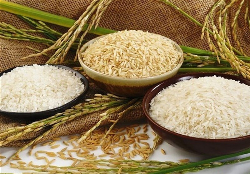 احتکار و افزایش بی‌رویه قیمت برنج؛ چالش کشاورز و بازار
