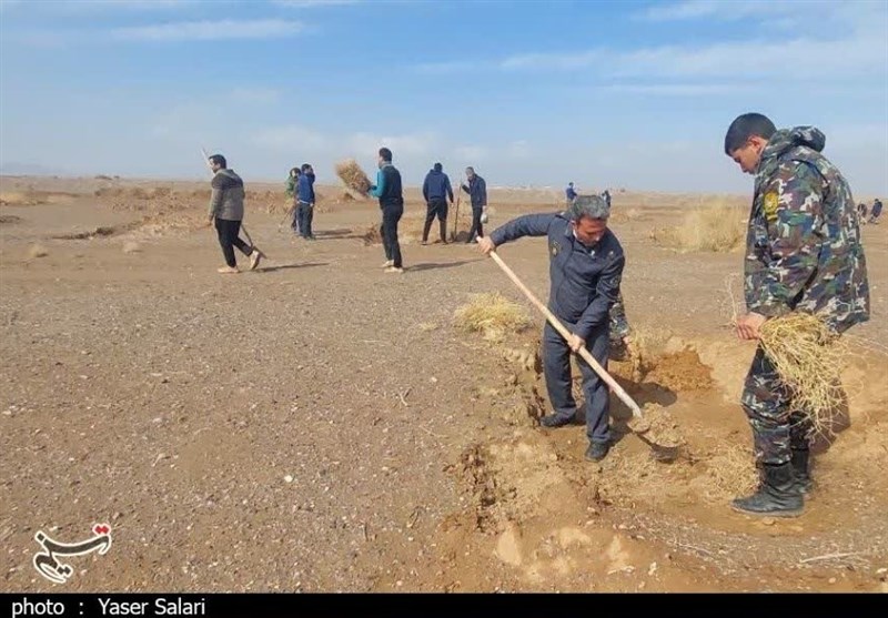 برگزاری پویش نهالکاری در گناباد با کاشت 5 هزار اصله نهال تاغ