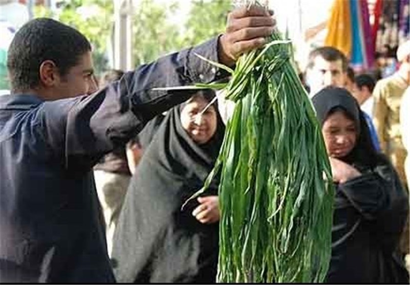 سازمان منابع طبیعی , دارو , 