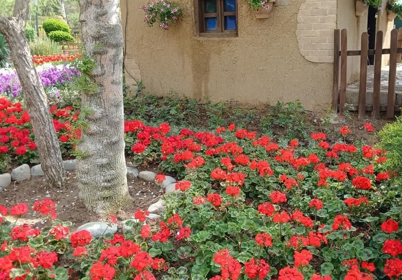 جشنواره لاله‌های کرج؛ تجلی زیبایی‌های طبیعی در دل شهر+تصویر