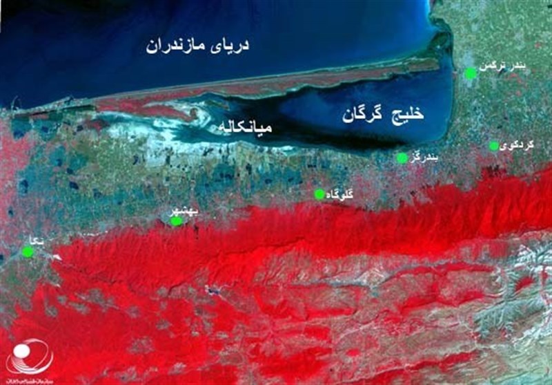 حال وخیم میانکاله با بحران خشکسالی/روزهای ناخوش بهشت پرندگان