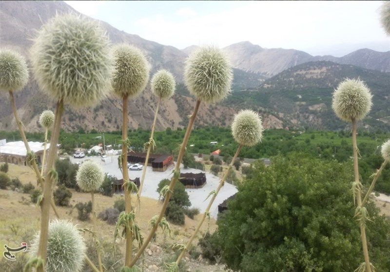 گردشگری , 