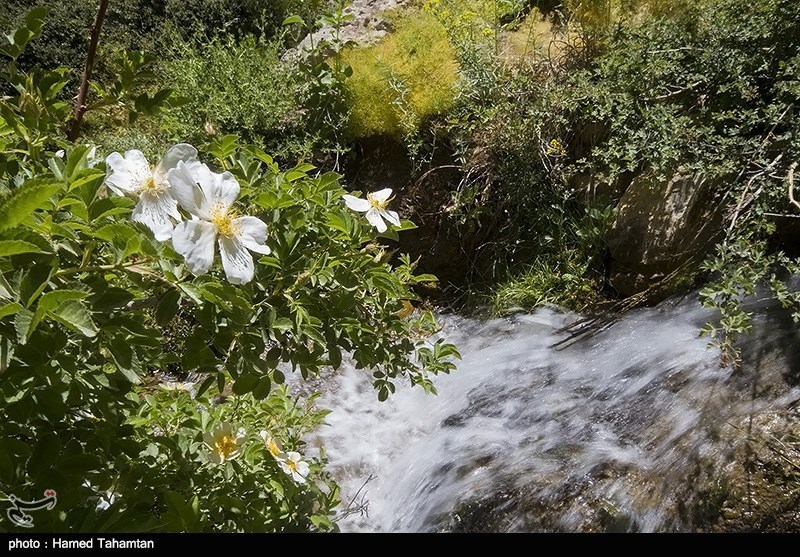 گردشگری , 