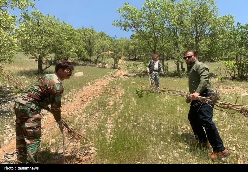 سازمان منابع طبیعی , 