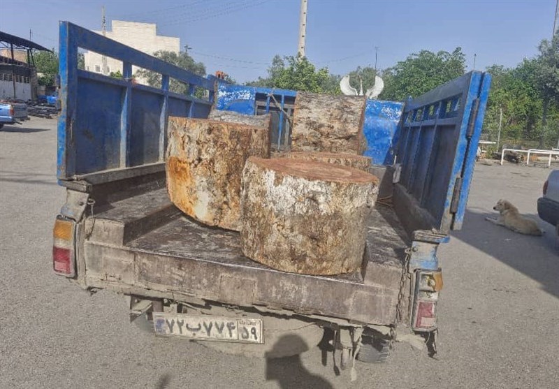 ماجرای قطع درختان در برخی نقاط شهر گرگان چه بود؟