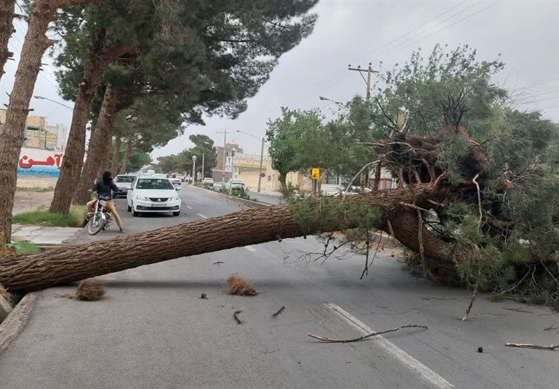 وقوع طوفان شدید همراه با گردوخاک در گناباد+عکس