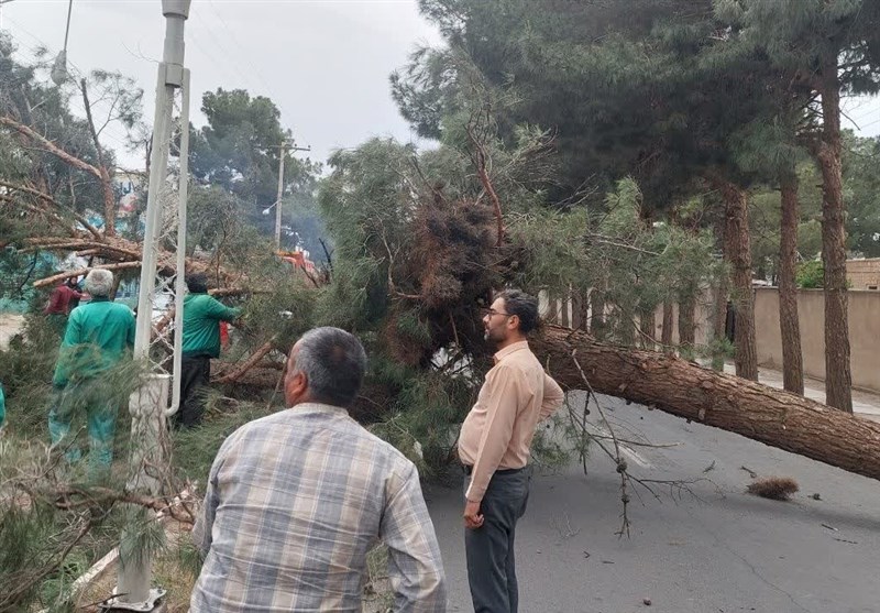 وقوع طوفان شدید همراه با گردوخاک در گناباد+عکس