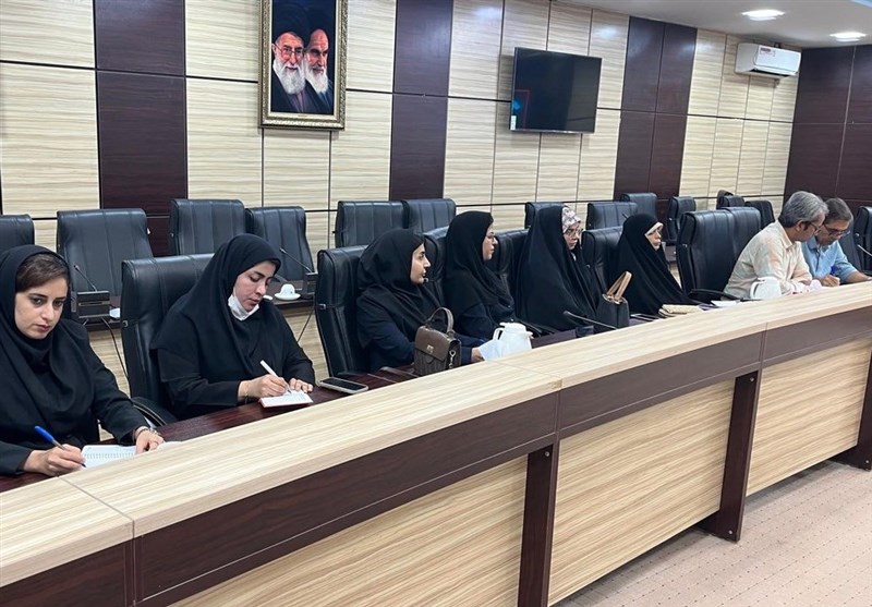 استفاده از ظرفیت سمن‌های تخصصی در حل مشکلات استان بوشهر
