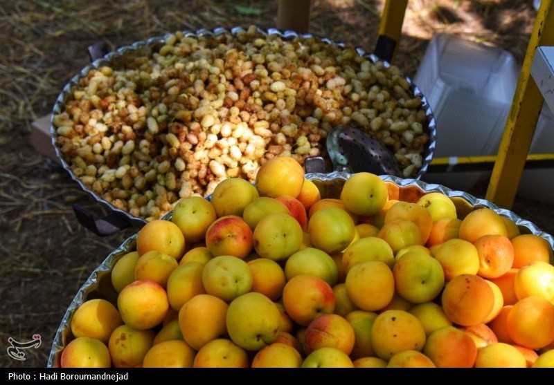جشنواره توت هوراند؛ طعمی تازه در گردشگری محلی