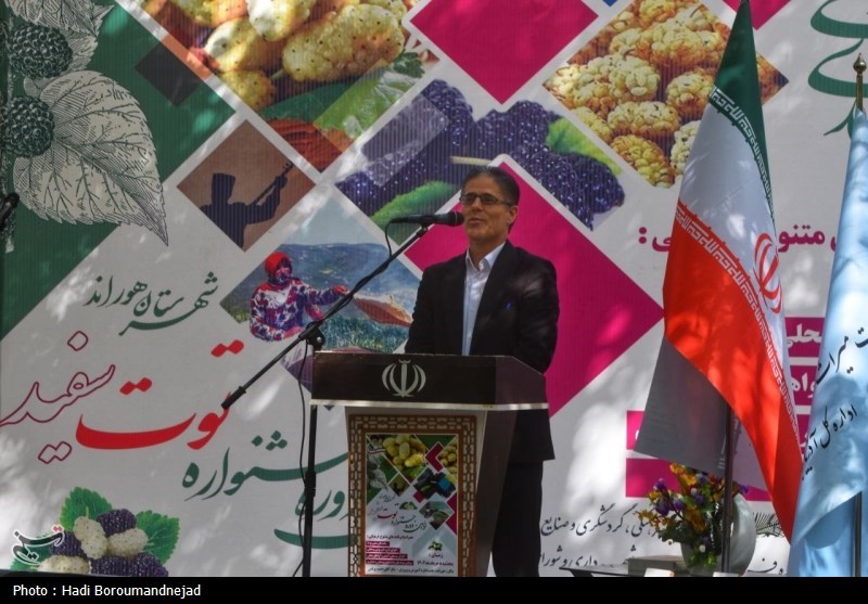 جشنواره توت هوراند؛ طعمی تازه در گردشگری محلی