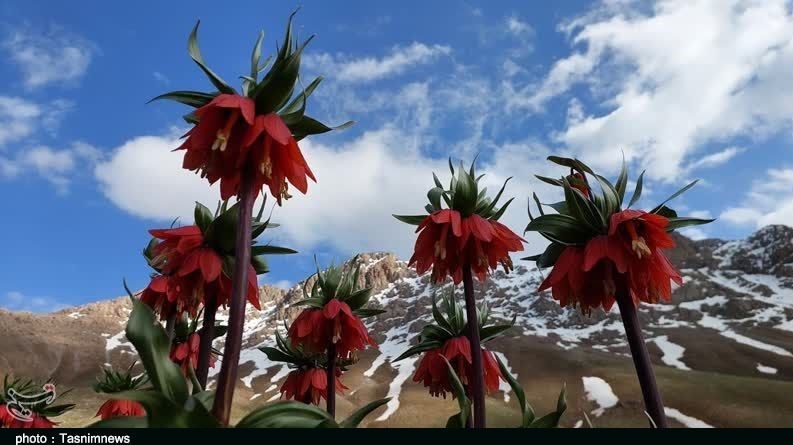 استان لرستان , وزارت میراث فرهنگی، گردشگری و صنایع دستی , گردشگری , 