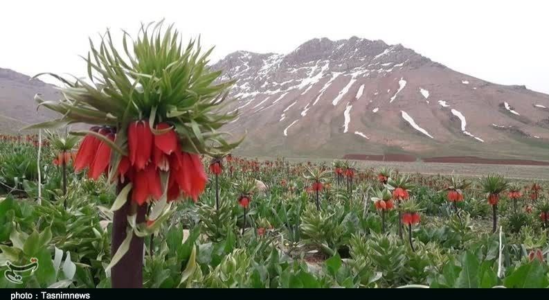 استان لرستان , وزارت میراث فرهنگی، گردشگری و صنایع دستی , گردشگری , 