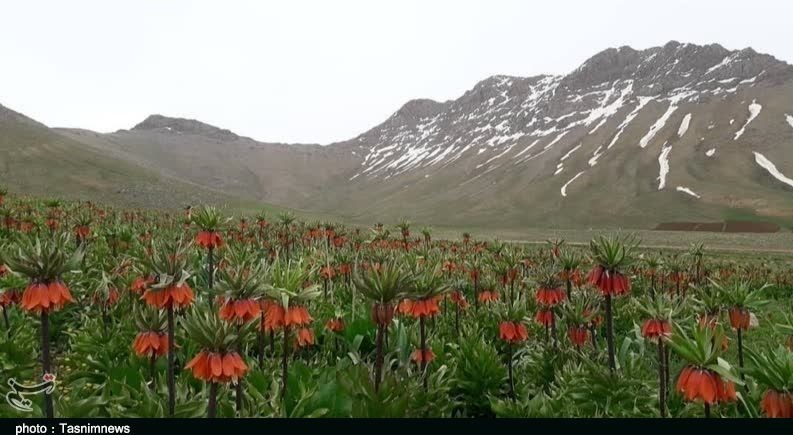 استان لرستان , وزارت میراث فرهنگی، گردشگری و صنایع دستی , گردشگری , 