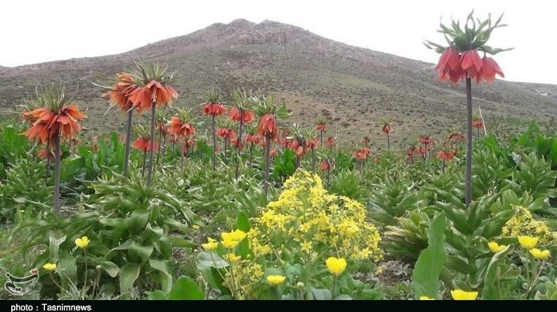 استان لرستان , وزارت میراث فرهنگی، گردشگری و صنایع دستی , گردشگری , 