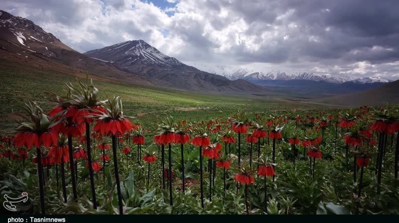 استان لرستان , وزارت میراث فرهنگی، گردشگری و صنایع دستی , گردشگری , 
