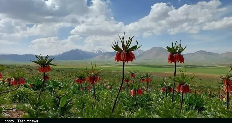 استان لرستان , وزارت میراث فرهنگی، گردشگری و صنایع دستی , گردشگری , 
