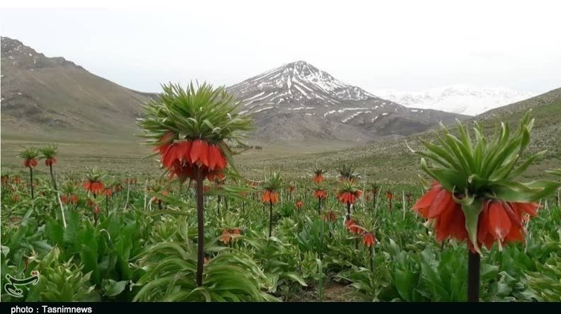 استان لرستان , وزارت میراث فرهنگی، گردشگری و صنایع دستی , گردشگری , 