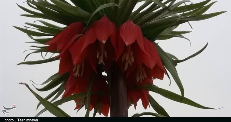 استان لرستان , وزارت میراث فرهنگی، گردشگری و صنایع دستی , گردشگری , 