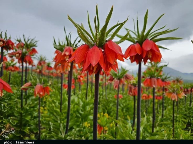 استان لرستان , وزارت میراث فرهنگی، گردشگری و صنایع دستی , گردشگری , 