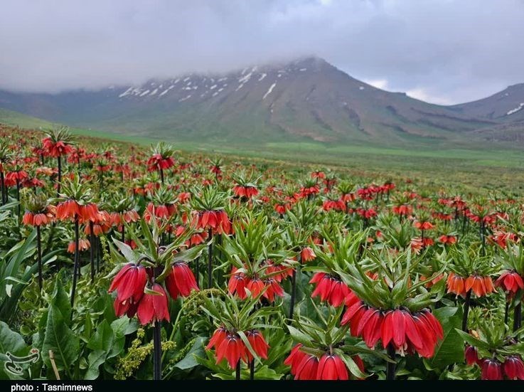استان لرستان , وزارت میراث فرهنگی، گردشگری و صنایع دستی , گردشگری , 