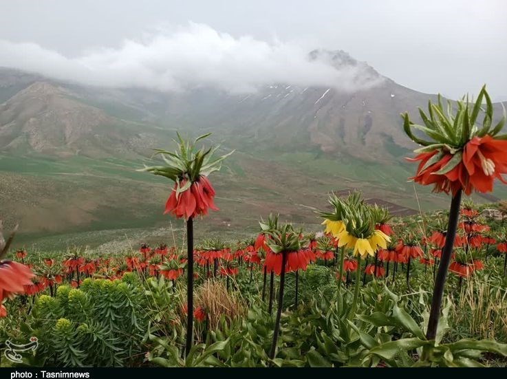 استان لرستان , وزارت میراث فرهنگی، گردشگری و صنایع دستی , گردشگری , 