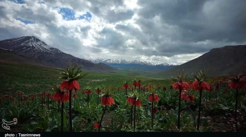 استان لرستان , وزارت میراث فرهنگی، گردشگری و صنایع دستی , گردشگری , 
