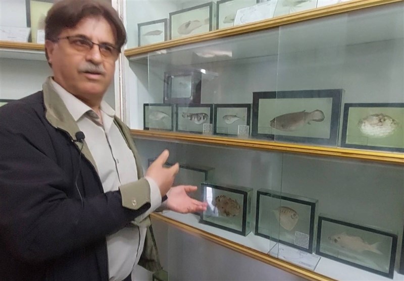 دریای خزر , خلیج فارس , دانشگاه آزاد اسلامی , 