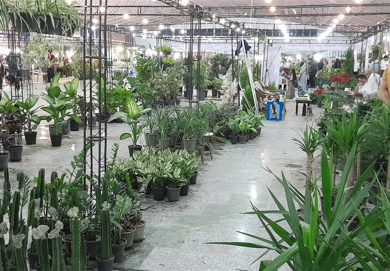 نمایشگاه گل و گیاه در بیرجند/عدم اطلاع رسانی و استقبال کم