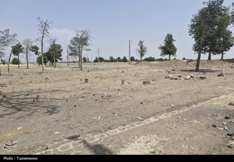 قطع غیرقانونی درختان کهنسال روستای رضی‌آباد احمدآباد مستوفی