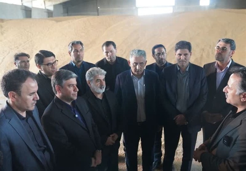 بدهی ذرت‌کاران به سرعت پرداخت شود