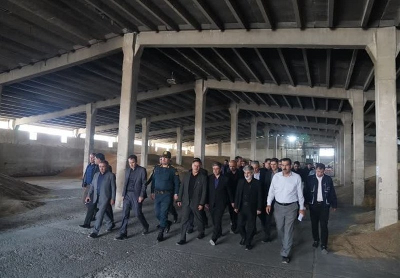 بدهی ذرت‌کاران به سرعت پرداخت شود
