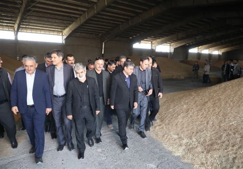 بدهی ذرت‌کاران به سرعت پرداخت شود