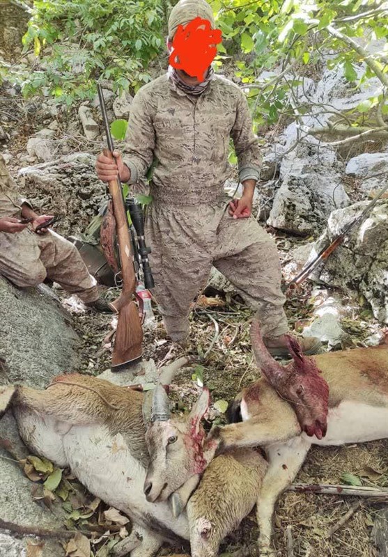 اخبار استان کهگیلویه و بویراحمد ,