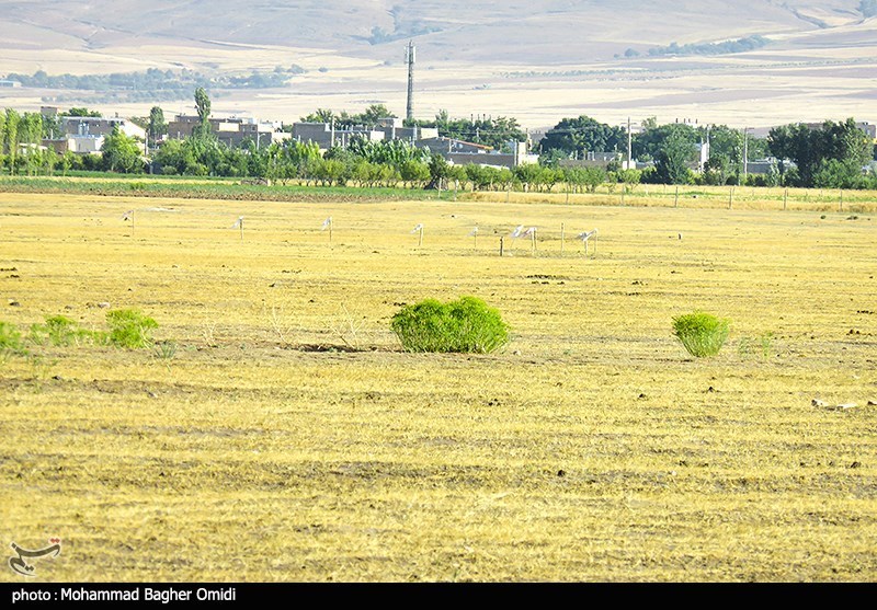 اخبار استان زنجان , گنبد سلطانیه ,