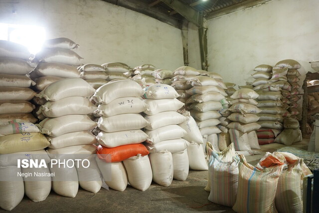 از کمآبی تا تورم؛ چرا قیمت برنج ایرانی متوقف نمیشود؟