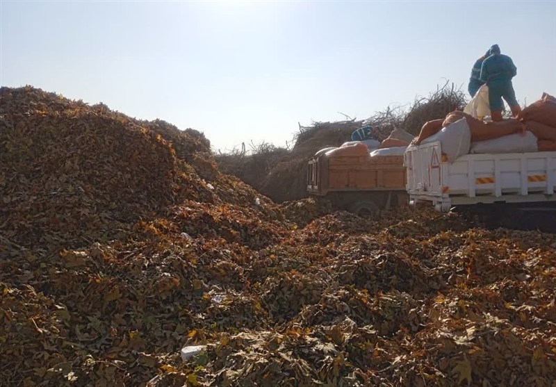 مشهد مقدس , اخبار مشهد , خراسان رضوی ,