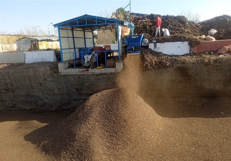 مشهد مقدس , اخبار مشهد , خراسان رضوی ,