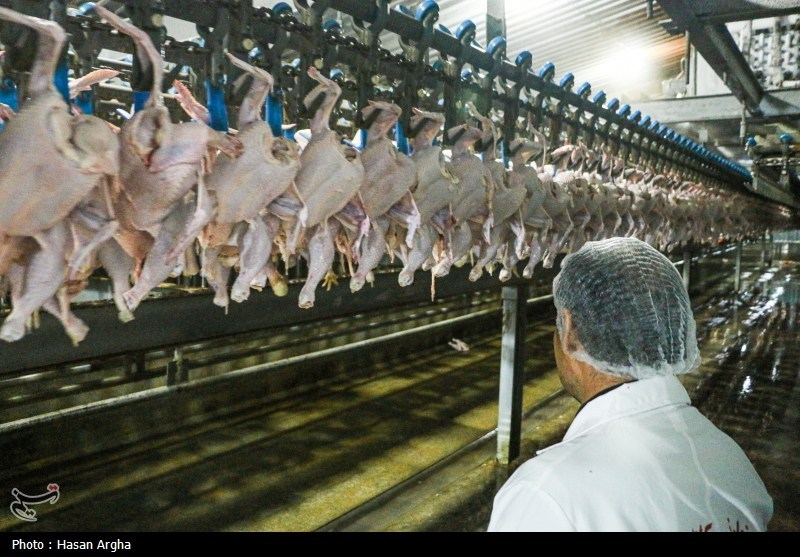 اخبار استان خراسان جنوبی , کمیسیون کشاورزی مجلس ,