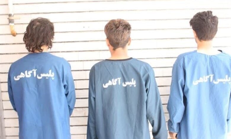 12 نفر برای حفاری غیرمجاز در بخش بندپی دستگیر شدند