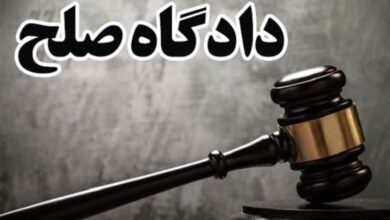1791 پرونده در دادگاه صلح دلفان مختومه شد