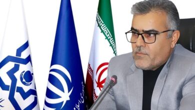 75 درصد بیمه‌شدگان سلامت بوشهر رایگان زیرپوشش قرار گرفته‌اند