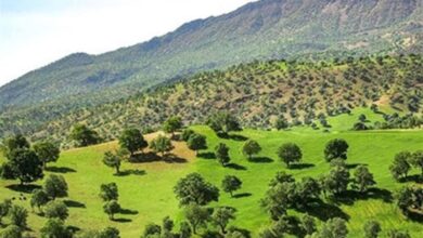 آتش‌سوزی‌های احتمالی در منابع طبیعی کرمانشاه؛ 60 نقطه شناسایی شد