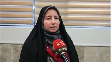 آغاز طرح توانمندسازی اقتصادی زنان در استان فارس