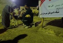 آموزش دامداران در روستای محروم استان بوشهر