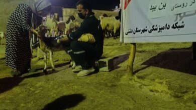 آموزش دامداران در روستای محروم استان بوشهر