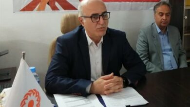 اجرای 200 برنامه شاخص هفته بهزیستی در خراسان جنوبی