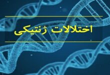 اختلالات ژنتیکی، عامل 50 درصد معلولیت‌ها در خراسان جنوبی