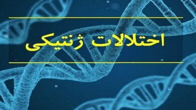 اختلالات ژنتیکی، عامل 50 درصد معلولیت‌ها در خراسان جنوبی