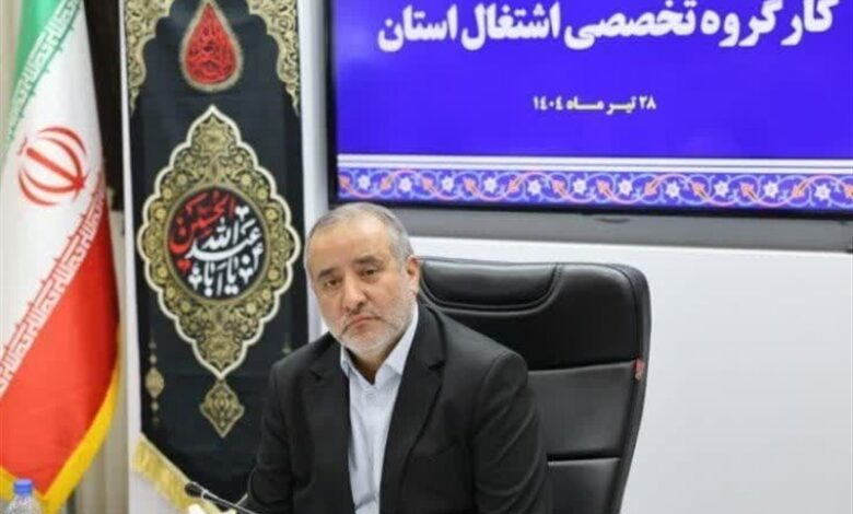 استاندار خراسان جنوبی: رتبه اول کشوری در کاهش نرخ بیکاری حاصل تلاش جهادی است