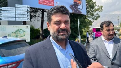 انتقاد نماینده مجلس از کم‌توجهی به عشایر